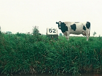 Elbe-Weser-Schiffahrtsweg, Kilometermarkierung mit Kuh
